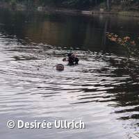 Abtauchen mit Gew&auml;sseruntersuchung 2025