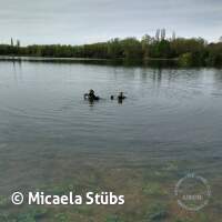 Antauchen am ASV-See 2023