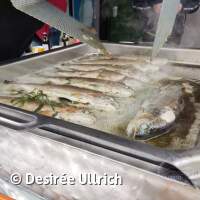 Gew&auml;sseruntersuchung am Schermsee am 01.04.2023