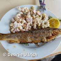 Gew&auml;sseruntersuchung am Schermsee am 01.04.2023