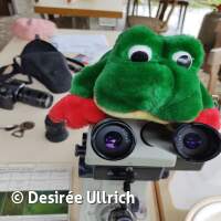 Gew&auml;sseruntersuchung am Schermsee am 01.04.2023