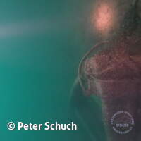 HTSV Jugendfahrt 23 St Gilgen