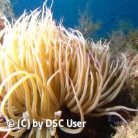 Jugendfahrt Kroatien 2017