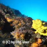 Jugendfahrt Kroatien 2017