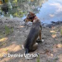 Kooperation Angler Gro&szlig;auheim