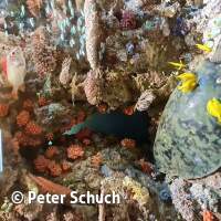 Senckenberg Ausflug  Juli '23