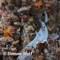 Senckenberg Ausflug  Juli '23