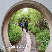 Durch dieses Tor m&uuml;ssen sie kommen...