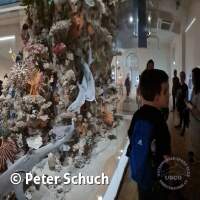 Nachtseite des Riffes