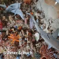 Senckenberg Ausflug  Juli '23