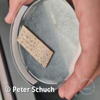 Senckenberg Ausflug  Juli '23