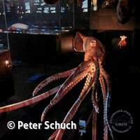 Senckenberg Ausflug  Juli '23