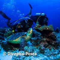 Ein Unterwasser-Selfie