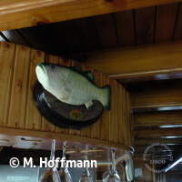 Unser Schiffs-Maskottchen