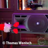 2025 Weihnachtsfeier