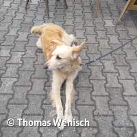 2026 Sommerfest am ASV See