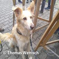 2026 Sommerfest am ASV See