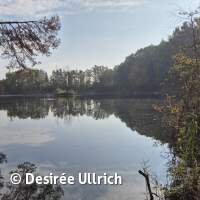 Abtauchen mit Gewässeruntersuchung 2025