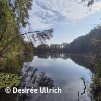 Abtauchen mit Gewässeruntersuchung 2025