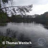 Abtauchen mit Gewässeruntersuchung 2025