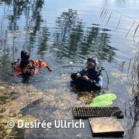 Antauchen mit Gewässeruntersuchung am Schermsee 2025