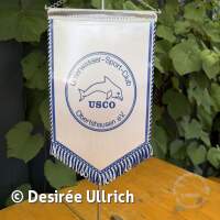 Backfischfest Schermsee 2026