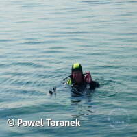 Geiseltalsee bei Mücheln