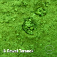 Geiseltalsee bei Mücheln