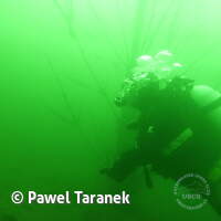 Geiseltalsee bei Mücheln