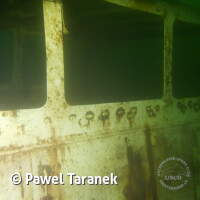 Geiseltalsee bei Mücheln