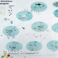 Geiseltalsee bei Mücheln