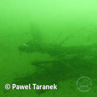 Geiseltalsee bei Mücheln