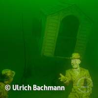 Geiseltalsee bei Mücheln