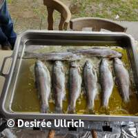 Gewässeruntersuchung am Schermsee am 01.04.2023