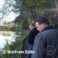 Herbsttauchgang im Schermsee