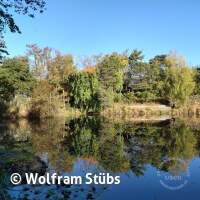 Herbsttauchgang im Schermsee