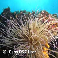 Jugendfahrt Kroatien 2017