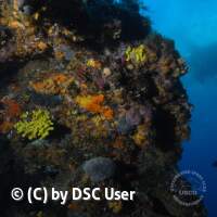 Jugendfahrt Kroatien 2017