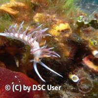 Jugendfahrt Kroatien 2017