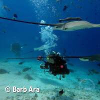 EIn Schauspiel an der Fish Factory