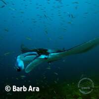 Davon gab es 15 St&uuml;ck um uns herum ;-)