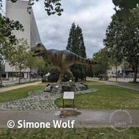 Senckenberg Ausflug  Juli '23