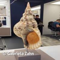 Senckenberg Ausflug  Juli '23