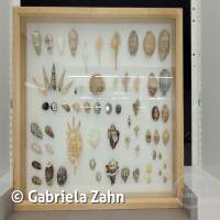 Senckenberg Ausflug  Juli '23