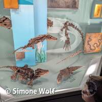 Senckenberg Ausflug  Juli '23