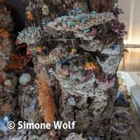 Senckenberg Ausflug  Juli '23