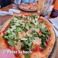 Senckenberg Ausflug  Juli '23