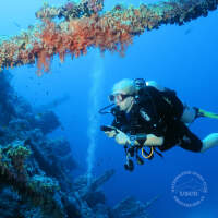 Seven Seas Trip 2017