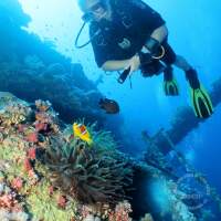 Seven Seas Trip 2017