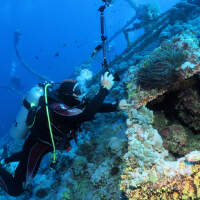 Seven Seas Trip 2017